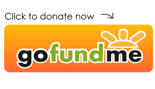 donate with gofundme