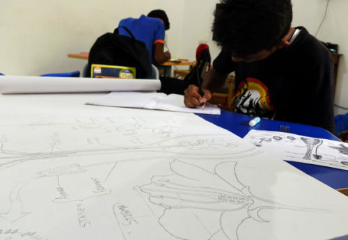 Drawing the reproductive system of plants