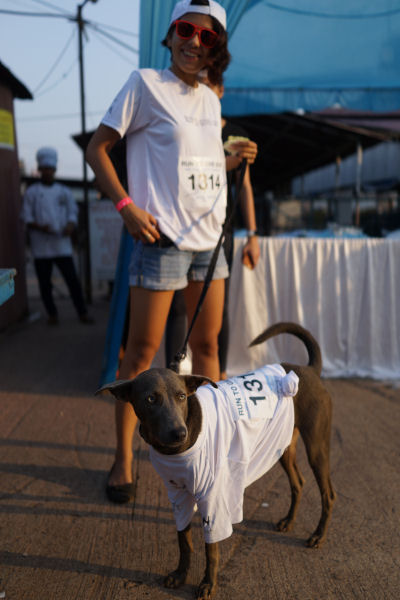 A Dogs life racing the 5km run in Panjim Goa