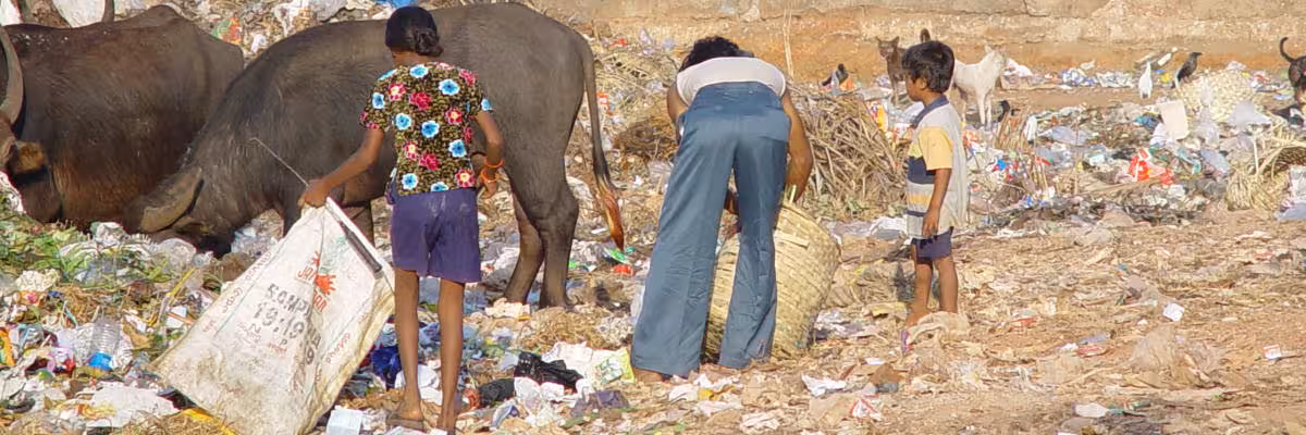 Rubbish Tips In Goa With Children Rag Picking.